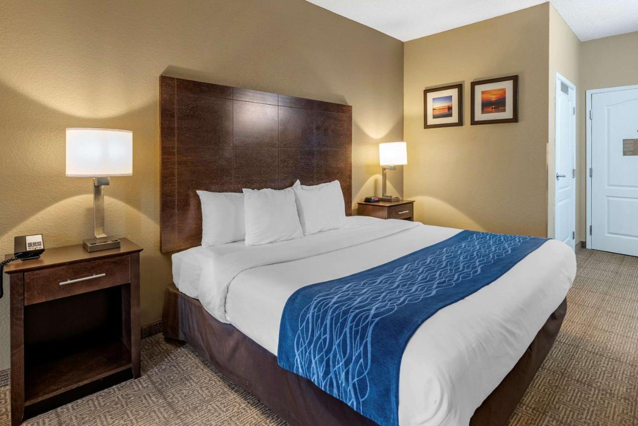 Comfort Inn & Suites Bryant - Benton Eksteriør billede